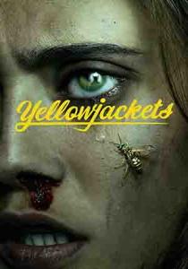 Шершни 3 сериал